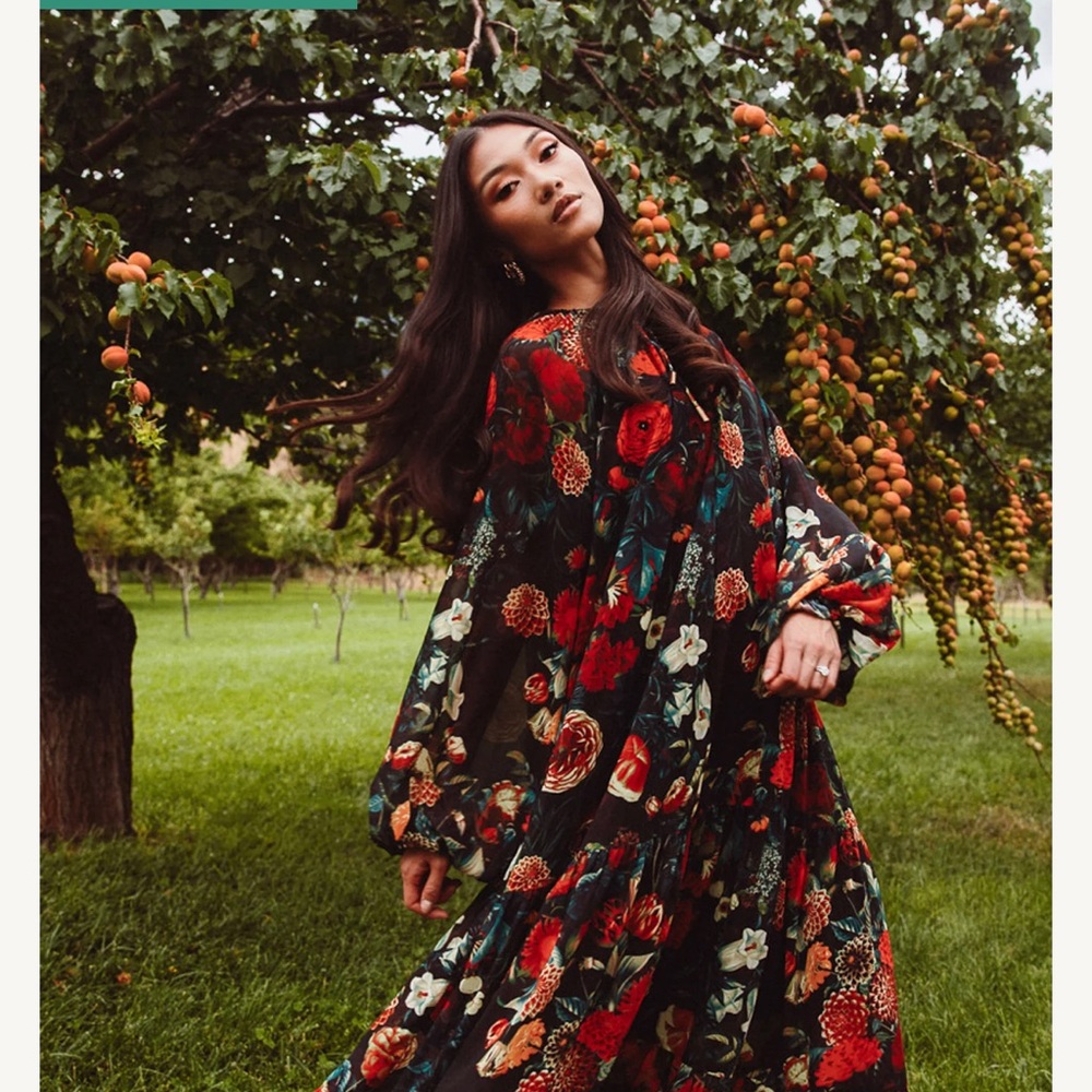 Ivy City Imogen Dress in Moody Floral